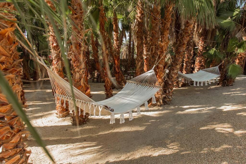 Cien Palmas- Authentic Mexican Casita 3 -Downtown Todos Santos Dış mekan fotoğraf
