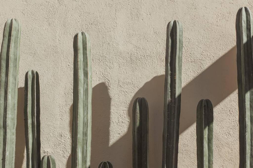 Cien Palmas- Authentic Mexican Casita 3 -Downtown Todos Santos Dış mekan fotoğraf
